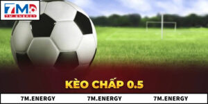 5 Yếu Tố Quan Trọng Cần Phải Biết Khi Soi Kèo 0.5