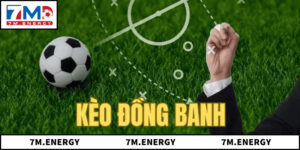 Bí Quyết Được Chia Sẻ Từ Cao Thủ Khi Tiến Hành Soi Kèo 0