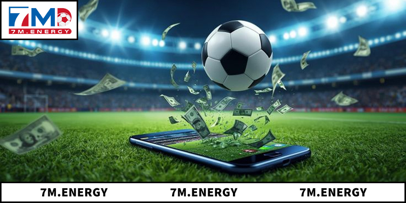 Dữ liệu minh bạch và chính xác