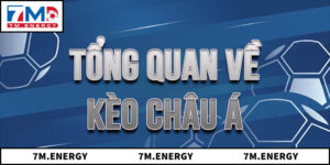 Hướng Dẫn Người Chơi Làm Chủ Kèo Châu Á Trong 5 Phút