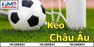 Khám Phá Điều Quan Trọng Cần Biết Khi Soi Kèo Châu Âu